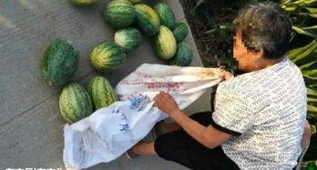 漳浦吃瓜最新事件爆料,揭秘背后惊人真相  第3张