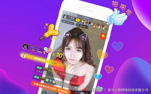 孙娇娇直播爆料视频大全,揭秘娱乐圈幕后真相  第2张